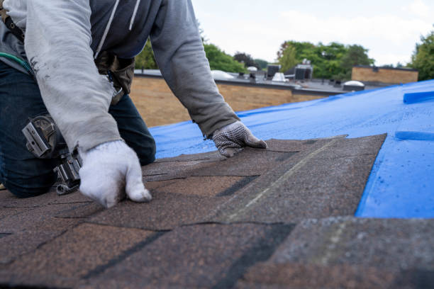 Best Metal Roofing Contractor  in Roman Forest, TX